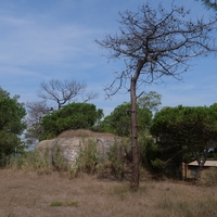 Photo de France - La randonnée de la Tamarissière